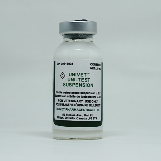 Testosterone Suspension